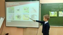 Всероссийский урок &quot;Эколята - молодые защитники природы&quot;.